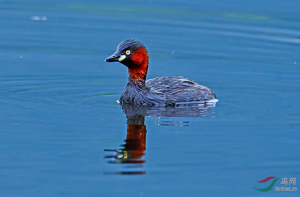 DSC_3145.JPG