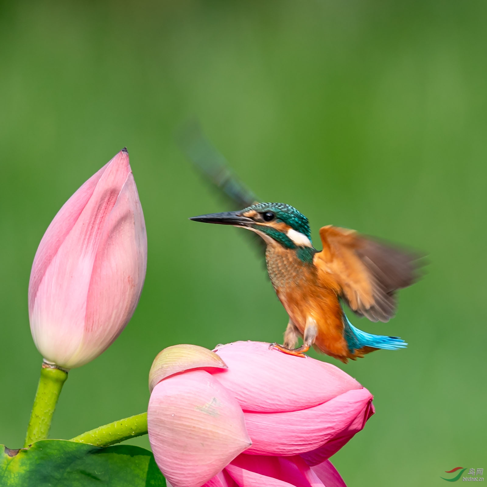 sdly190714_0563 ����.jpg