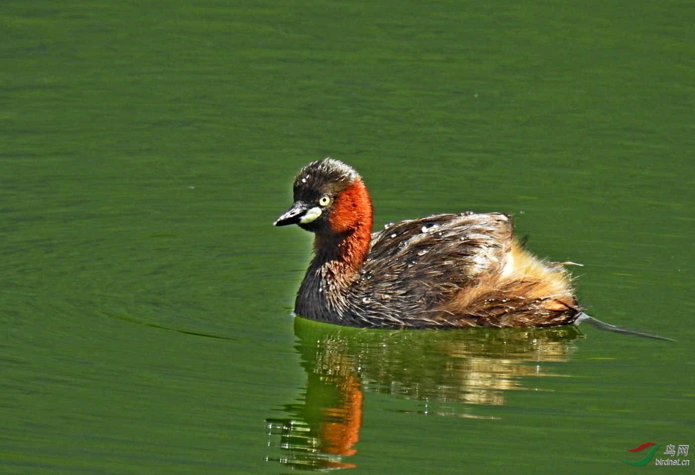 DSCN1132.JPG
