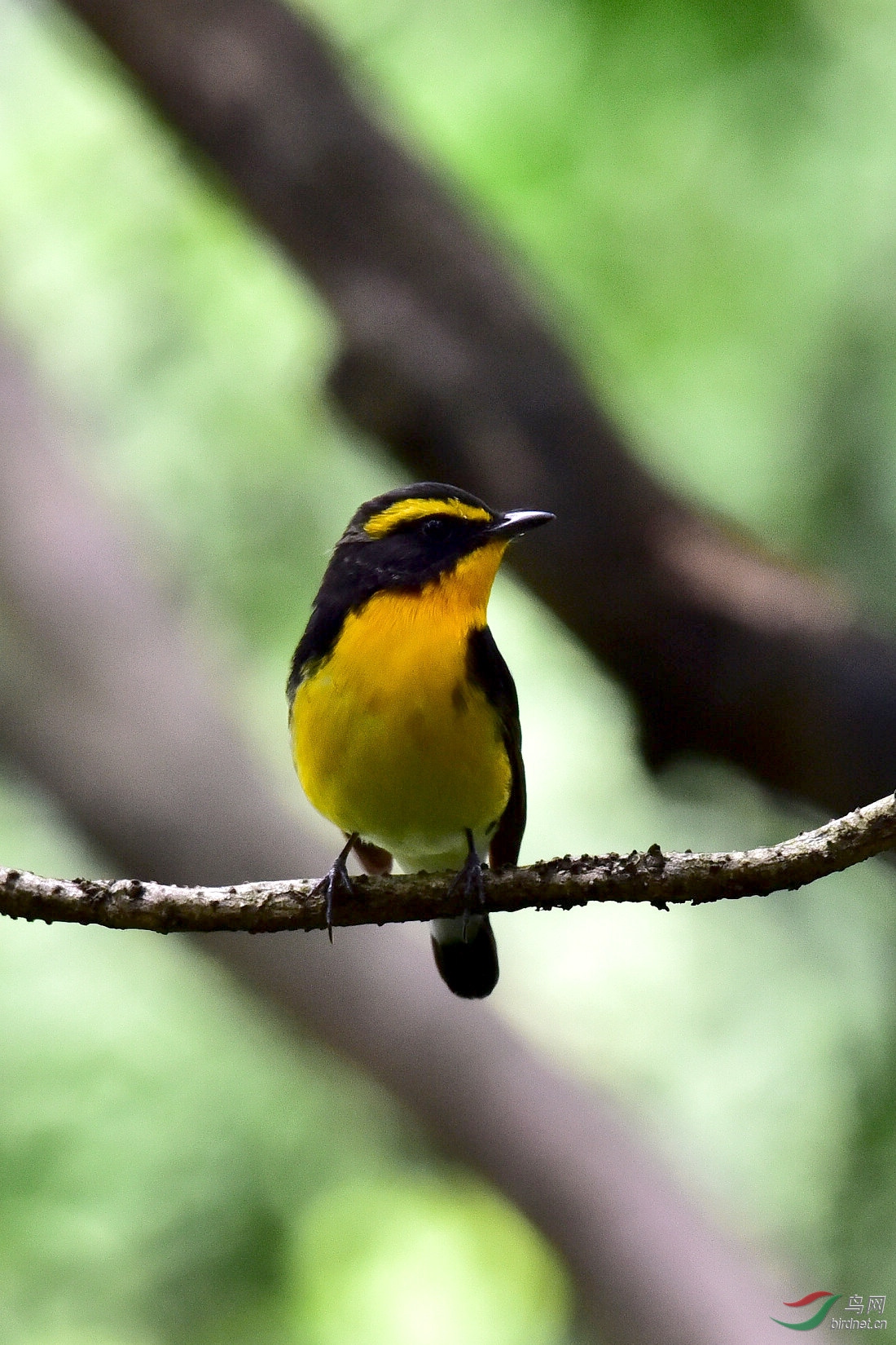 DSC_1041.JPG