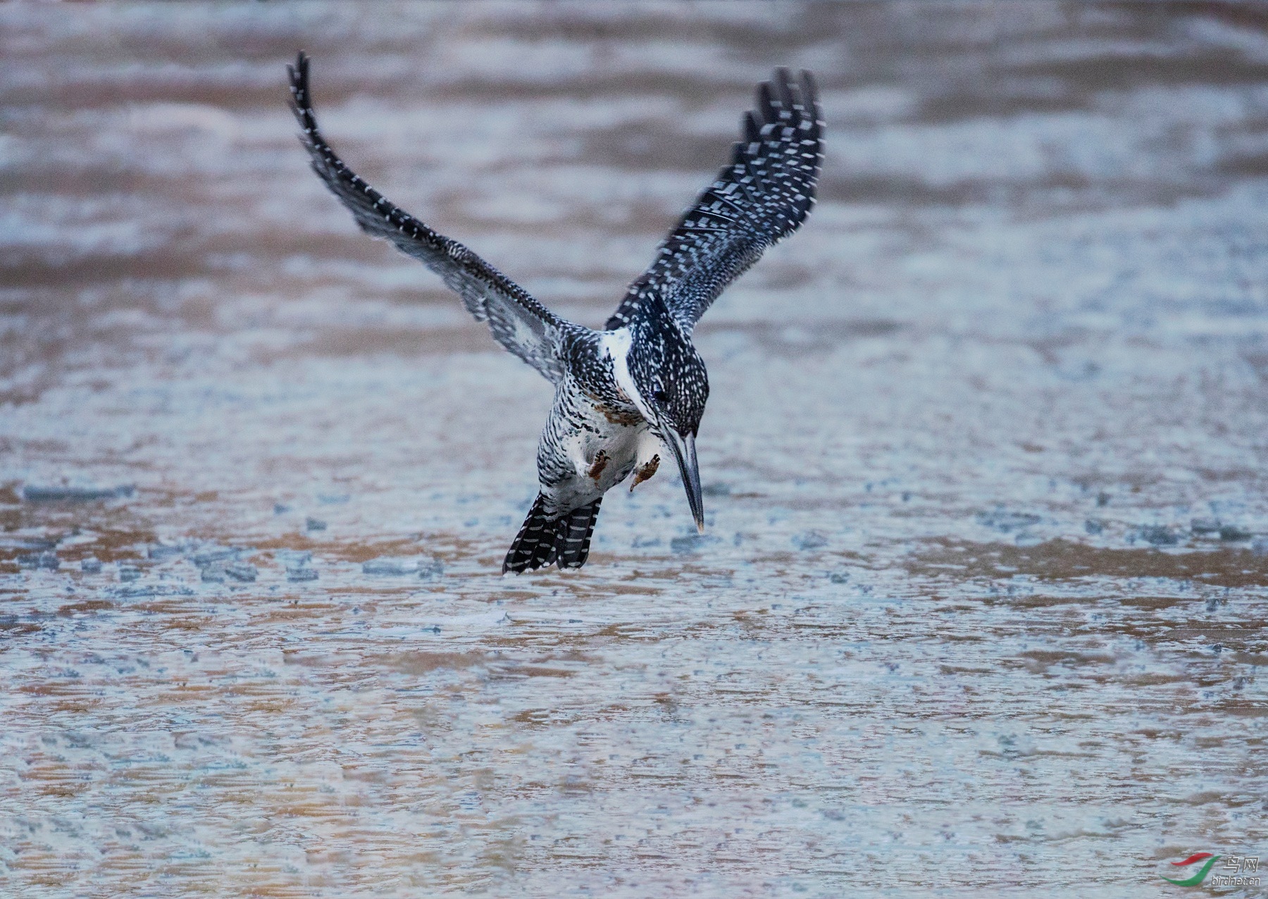 CI5A2374 - ����.jpg