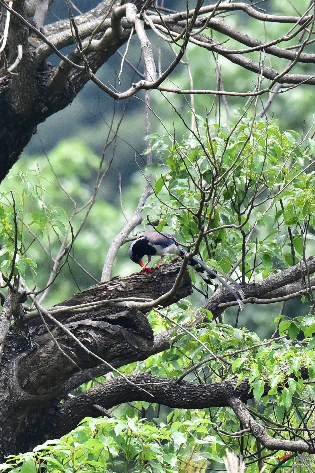 DSC_0276.JPG