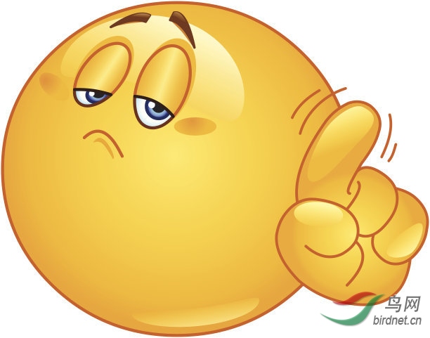 t01385c1e18ca562db6 (1).jpg