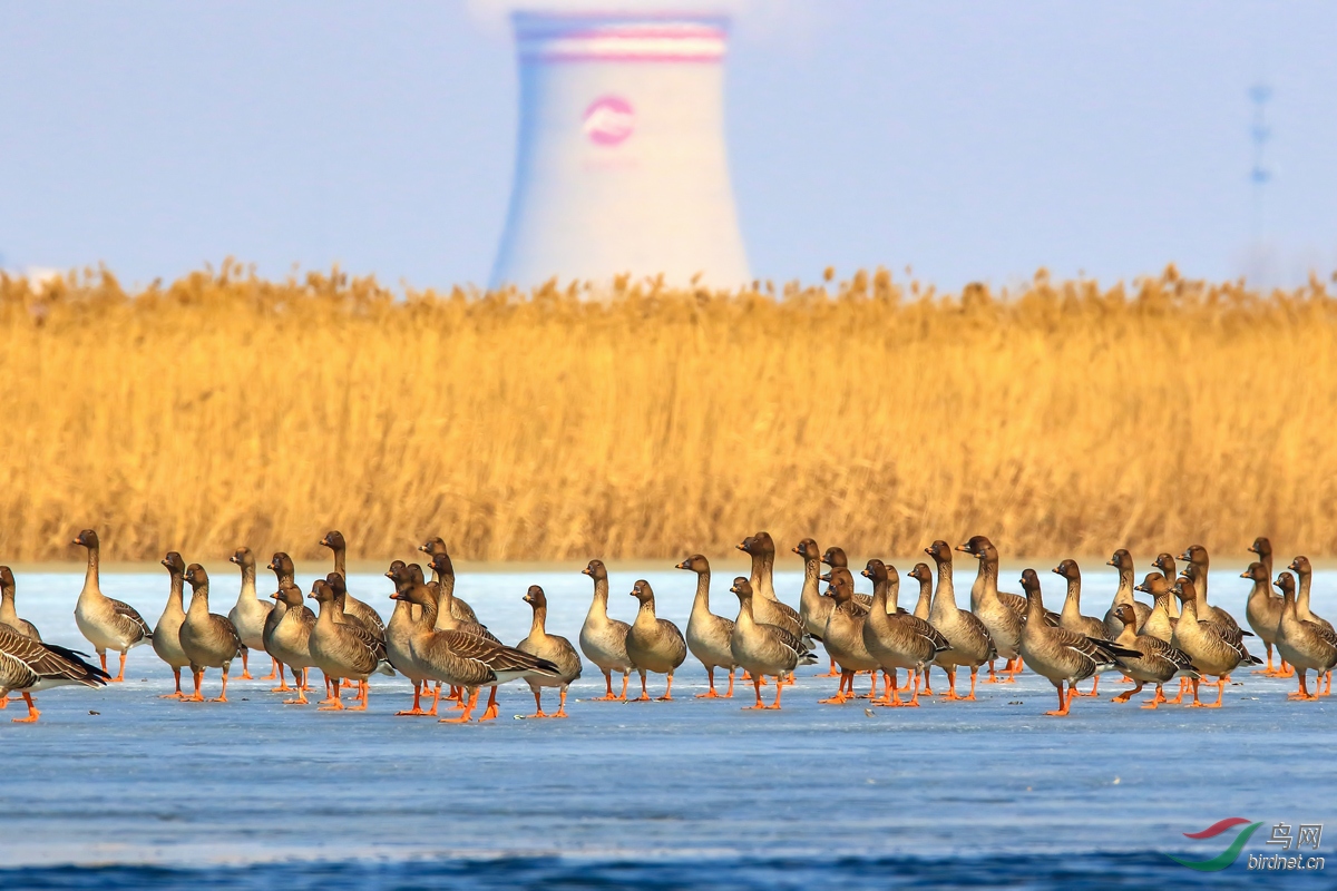 ��װ����