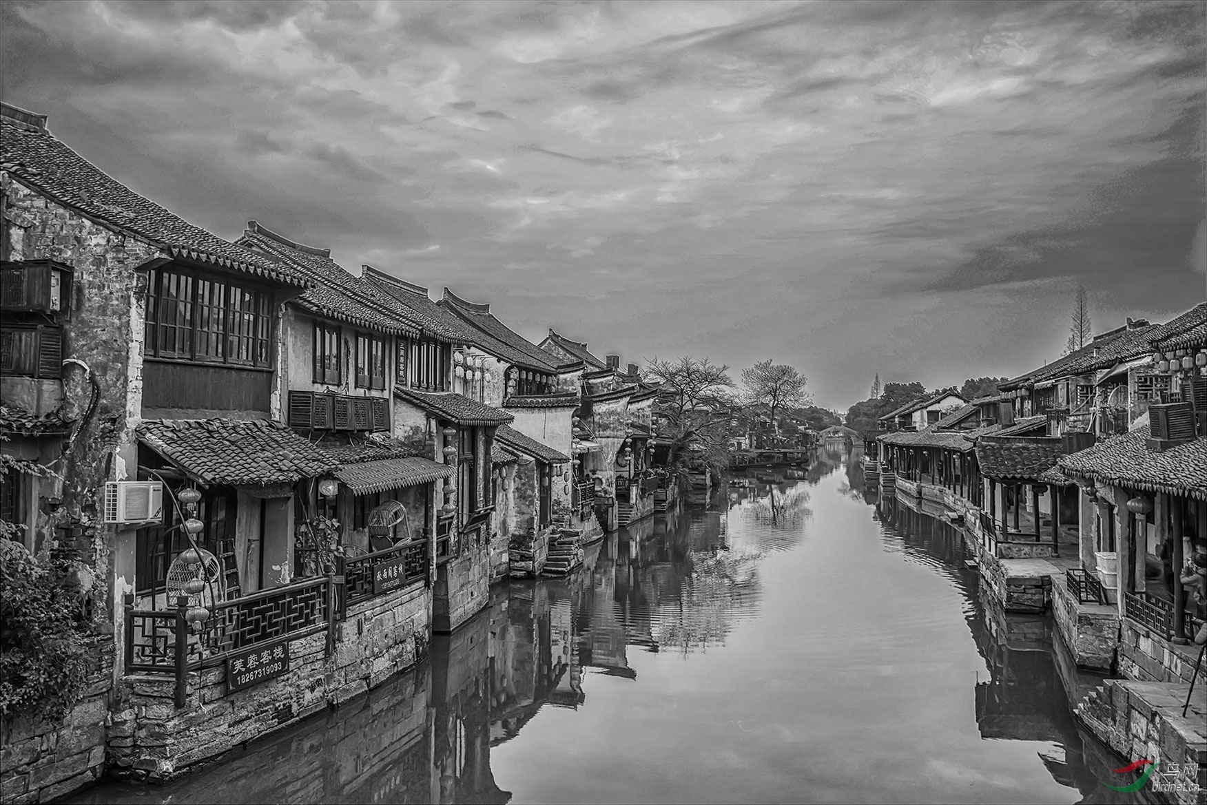 江南美(祝贺荣获黑白影像版块佳作)