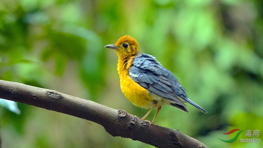 ��DSC_4246.jpg