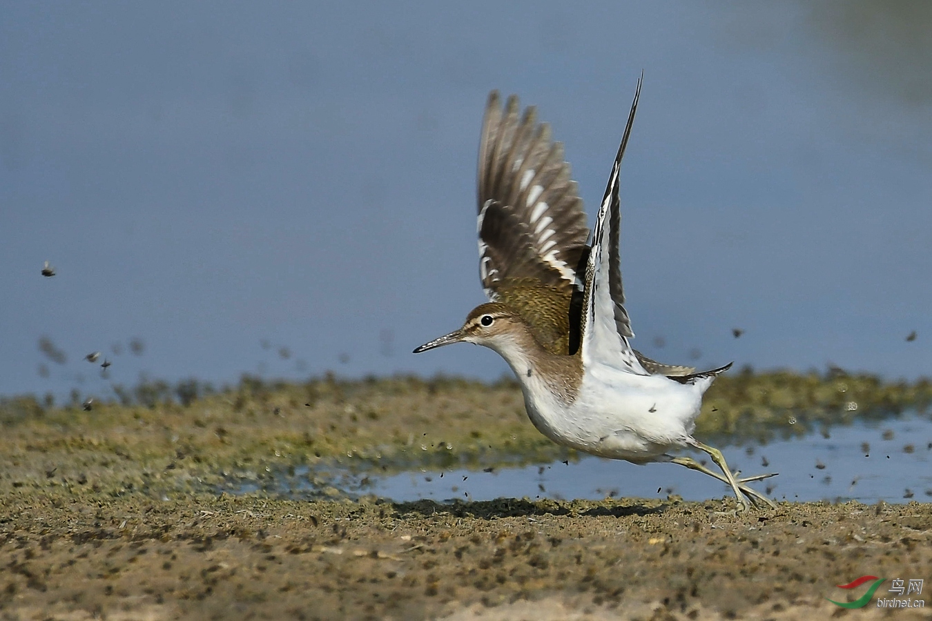 XCG_1804 (2)_����.jpg