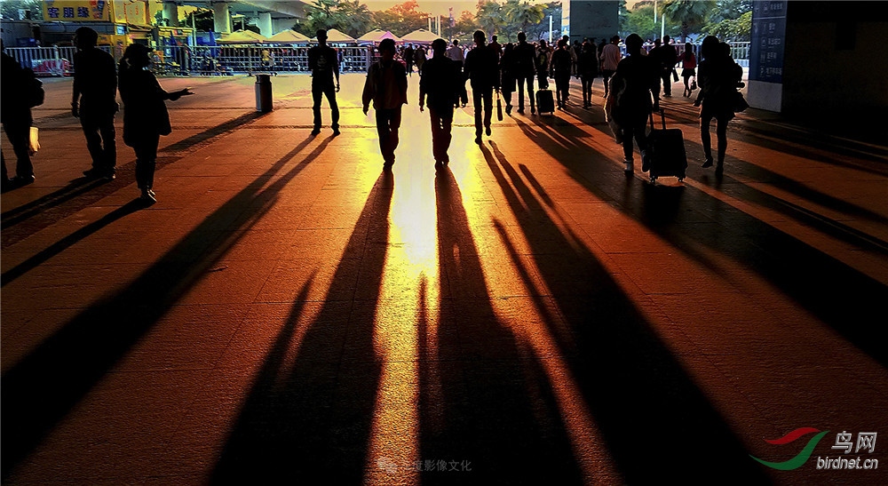 �Ҷ�Ӱ����Ӱʦ��ƽ��Ʒ