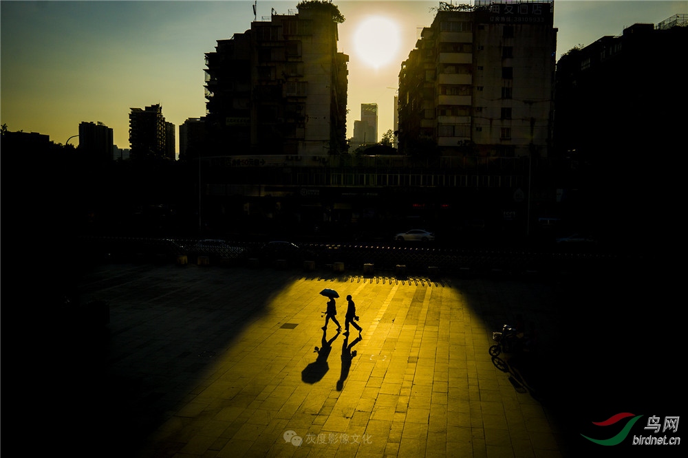 �Ҷ�Ӱ����Ӱʦ��ƽ��Ʒ