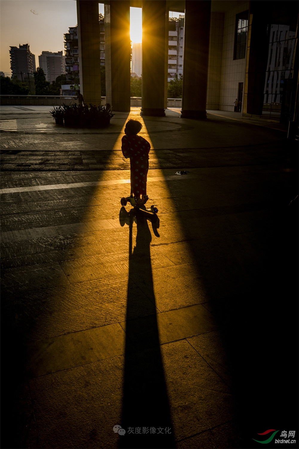 �Ҷ�Ӱ����Ӱʦ��ƽ��Ʒ