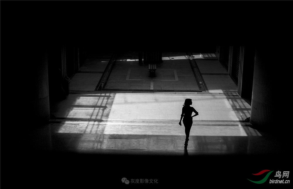 �Ҷ�Ӱ����Ӱʦ��ƽ��Ʒ