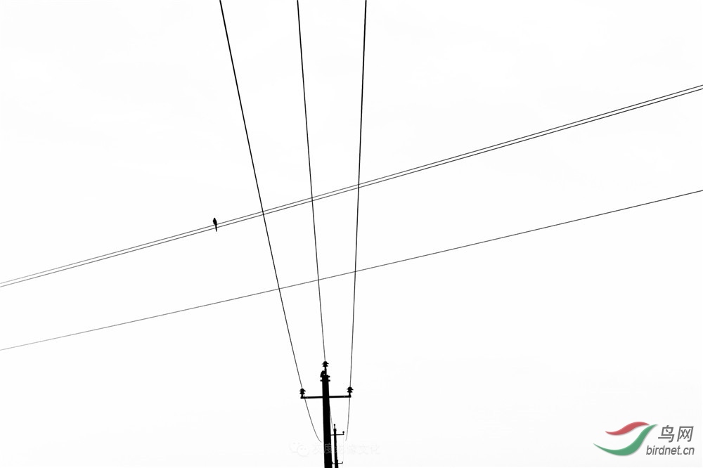 �Ҷ�Ӱ����Ӱʦ��ƽ��Ʒ