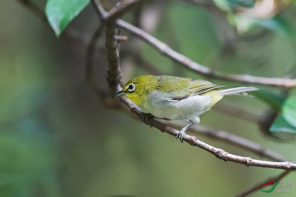 DSC_ps9751.jpg