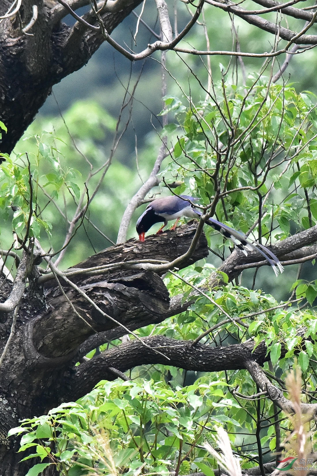 DSC_0277.JPG