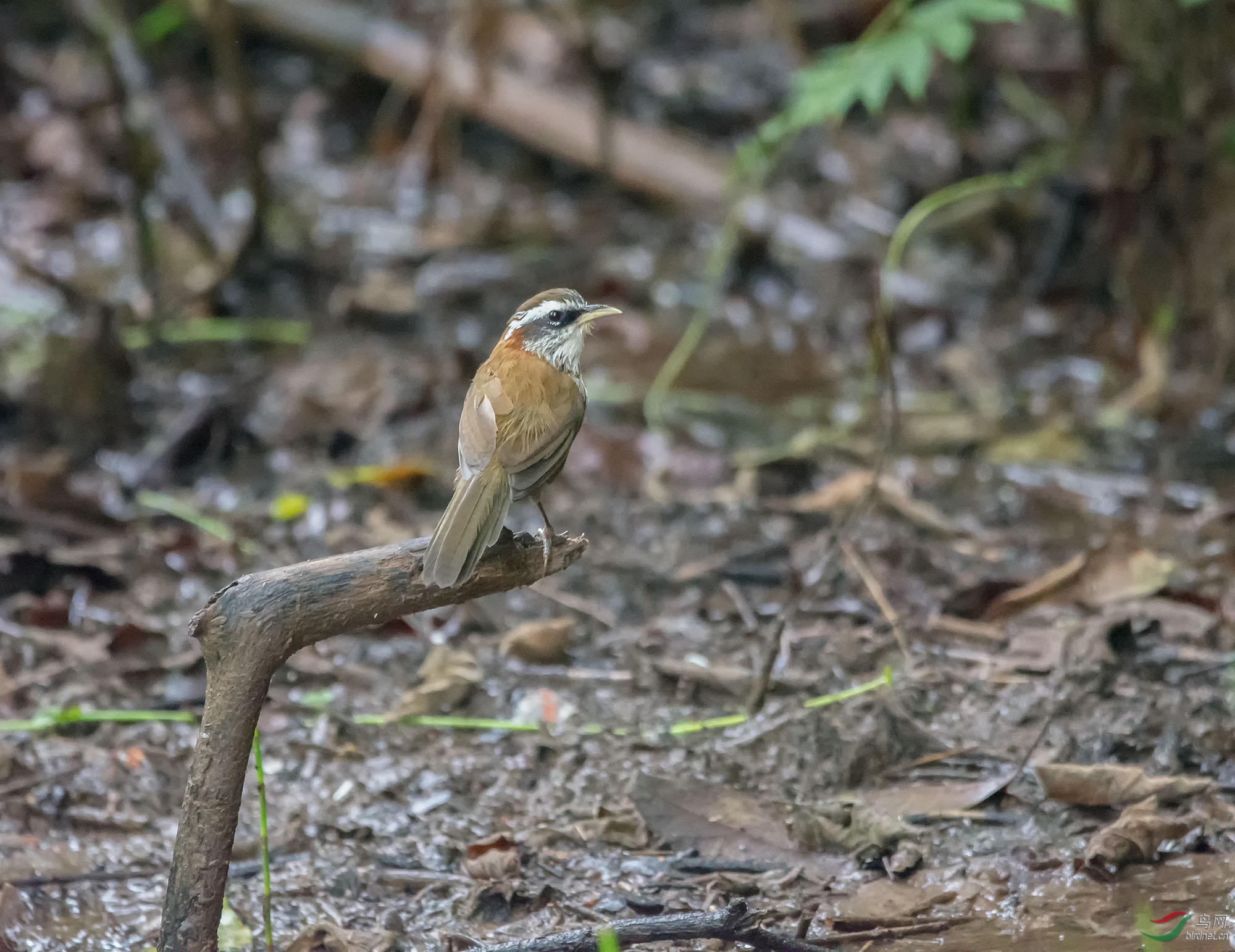 DSC_8864.jpg