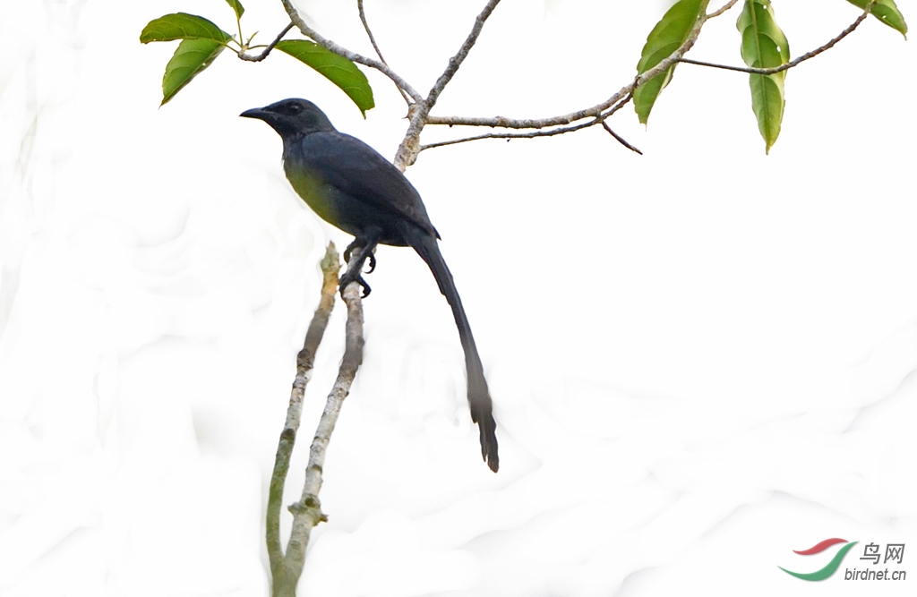 19��8��ӡ�����ͱ��ǿ�002 (574).JPG