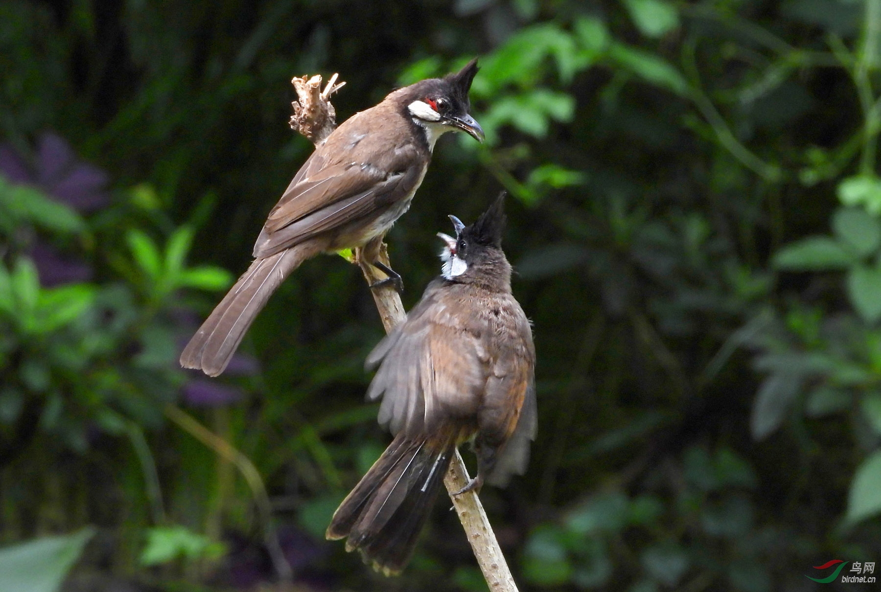 DSCN8697 ����.jpg