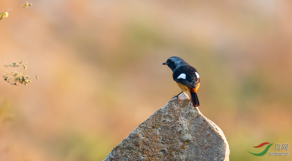 2019.9.11èͷӥ 0121.jpg