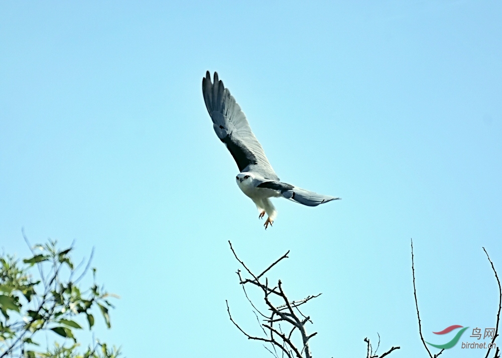 DSC_1842.jpg