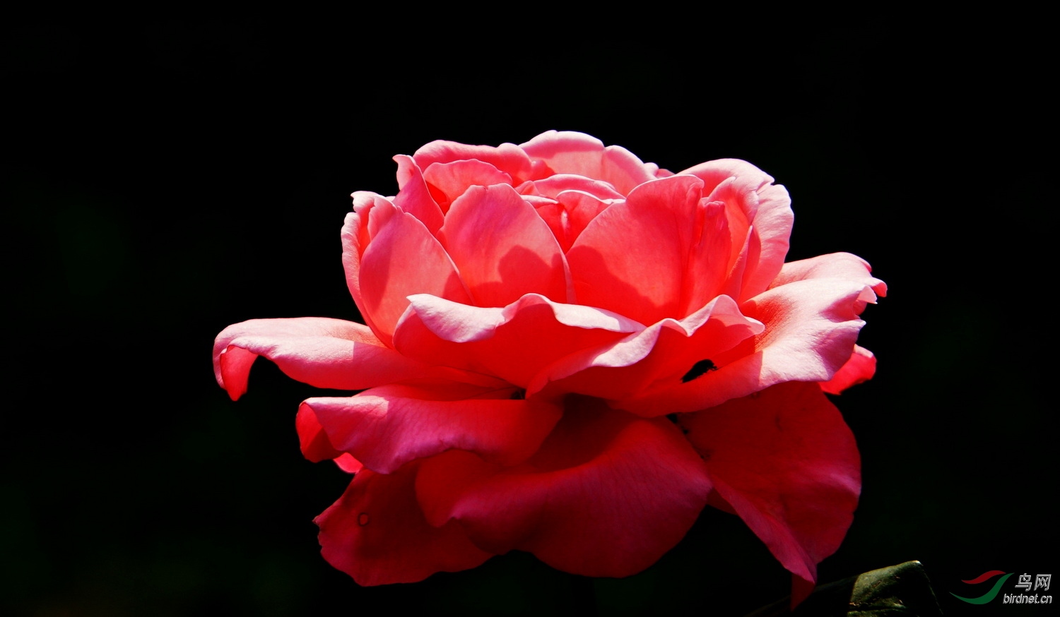 DSC03142.JPG