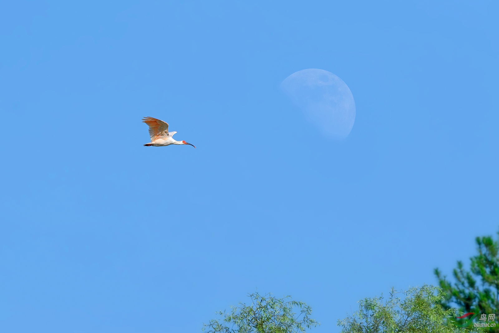 DSC_8021.jpg