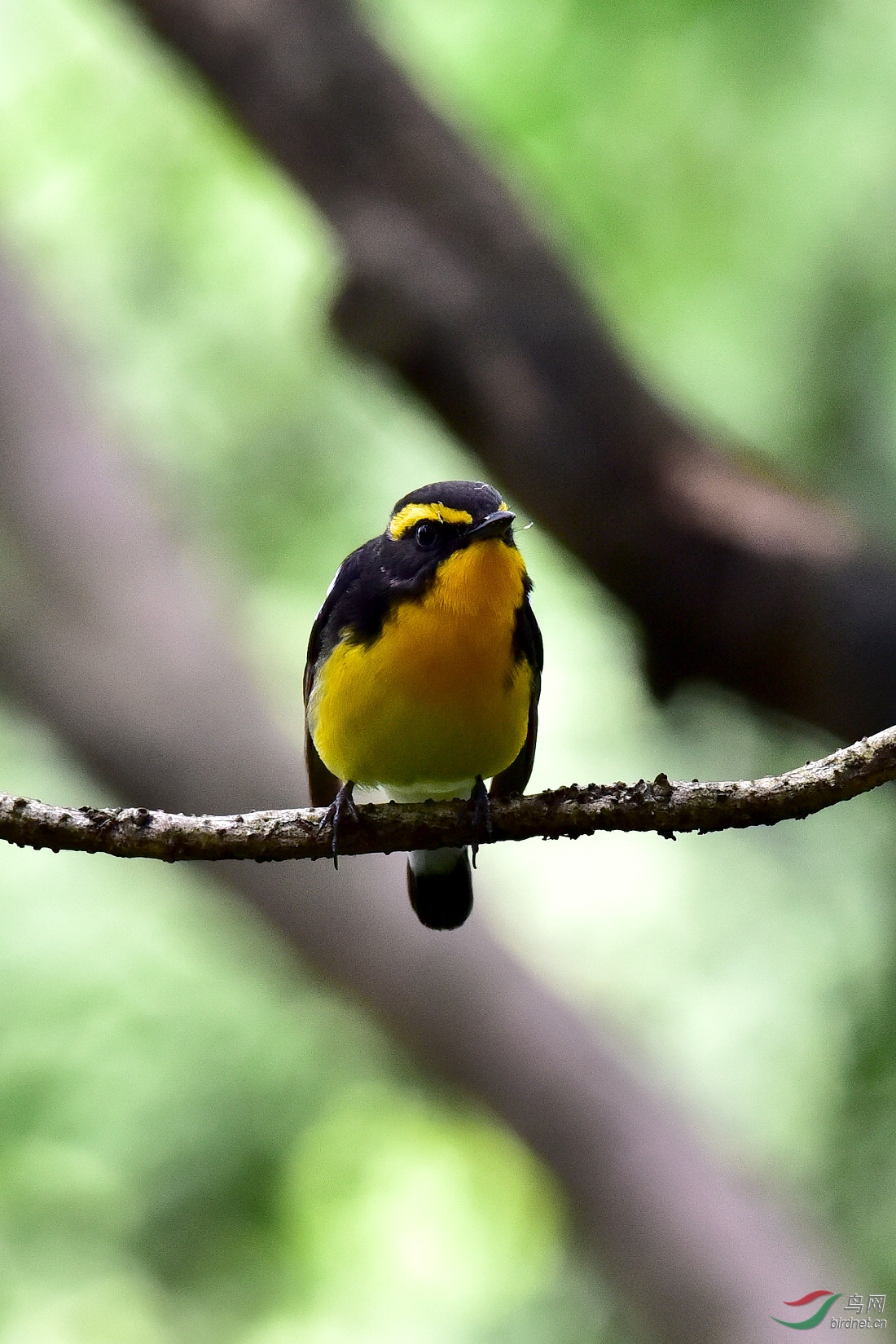 DSC_1051.JPG