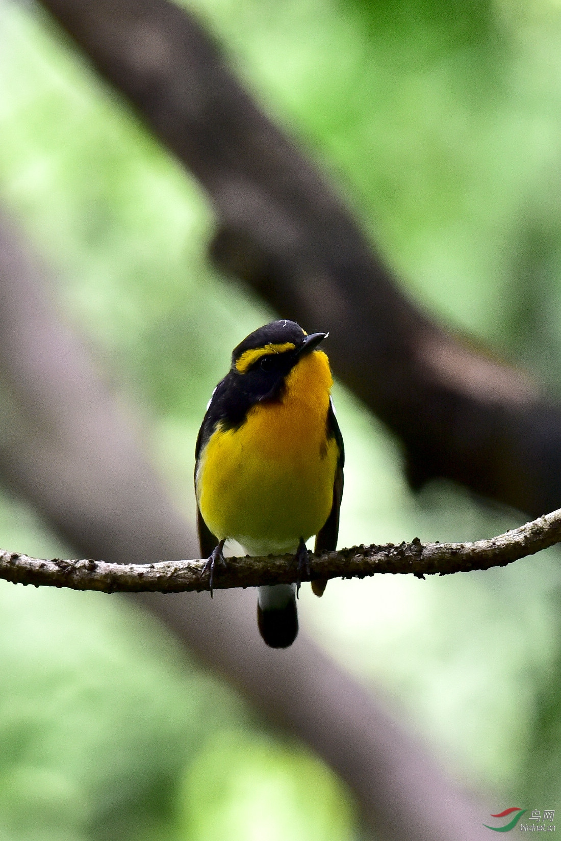 DSC_1055.JPG