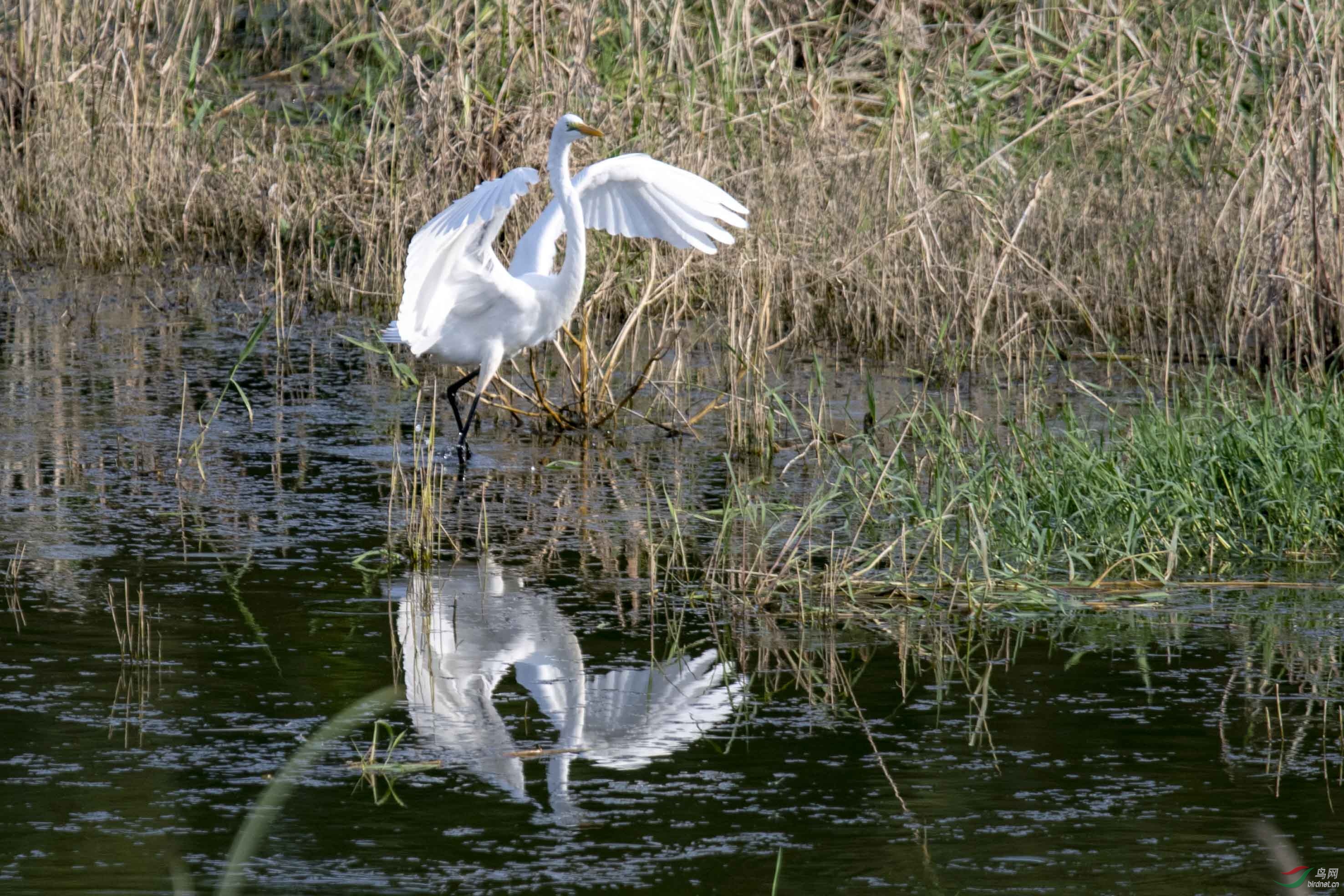 D50_1265.jpg