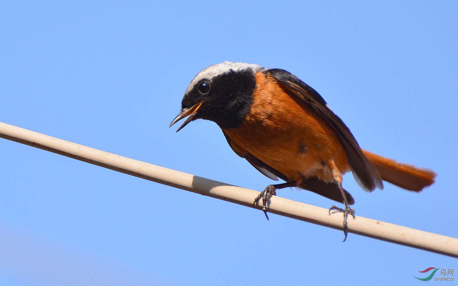 DSC_8566.JPG