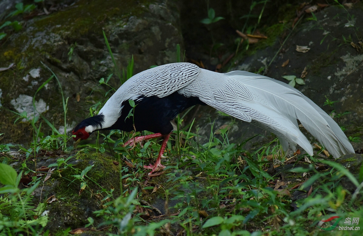 D8I_3588.jpg