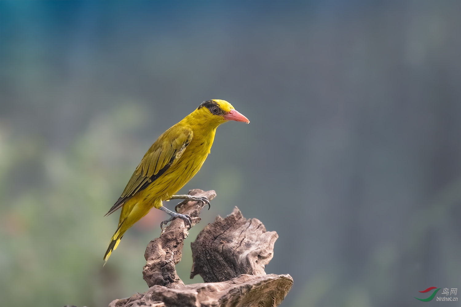 _DSC4166-2.jpg
