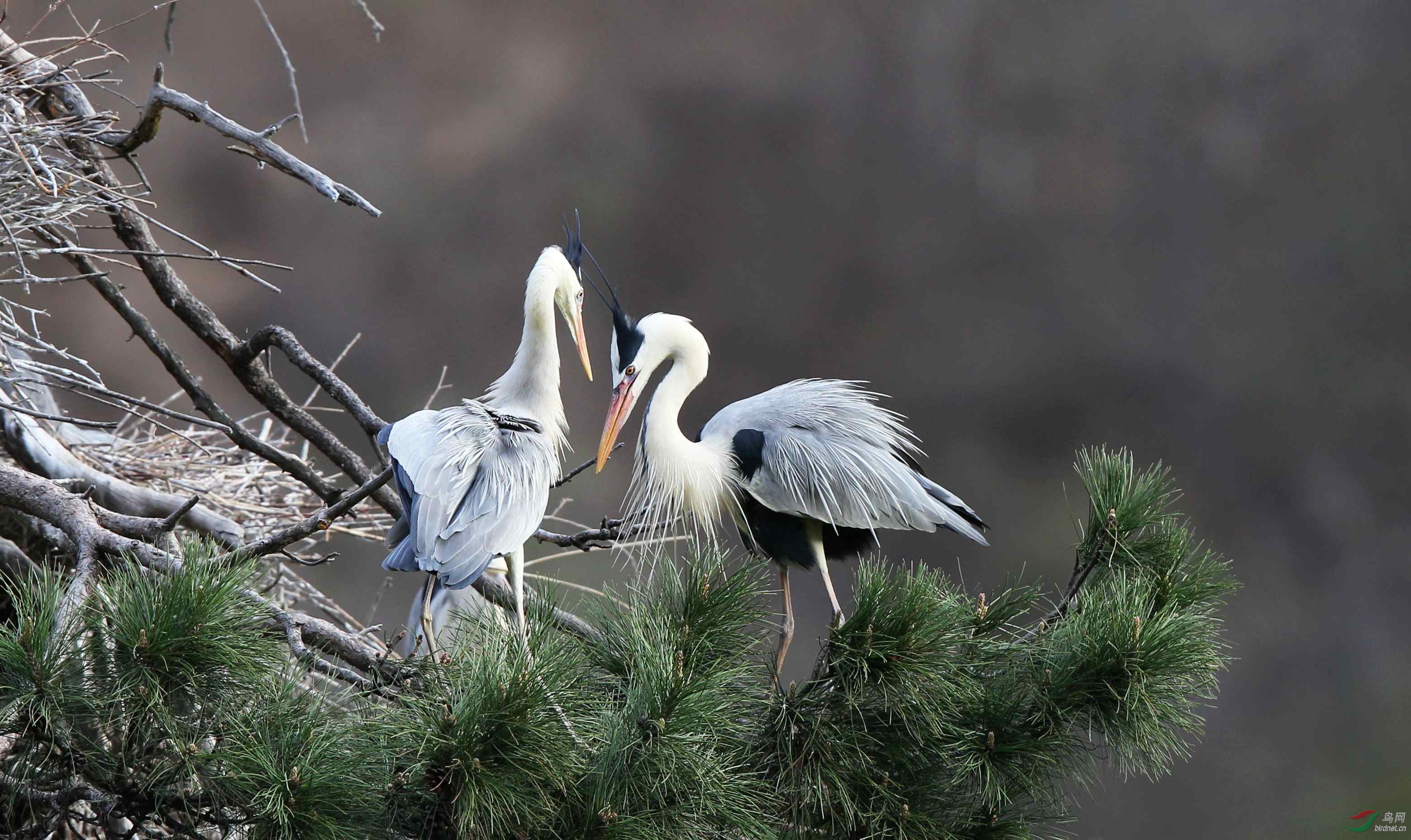 H46R7699_���� (2).jpg