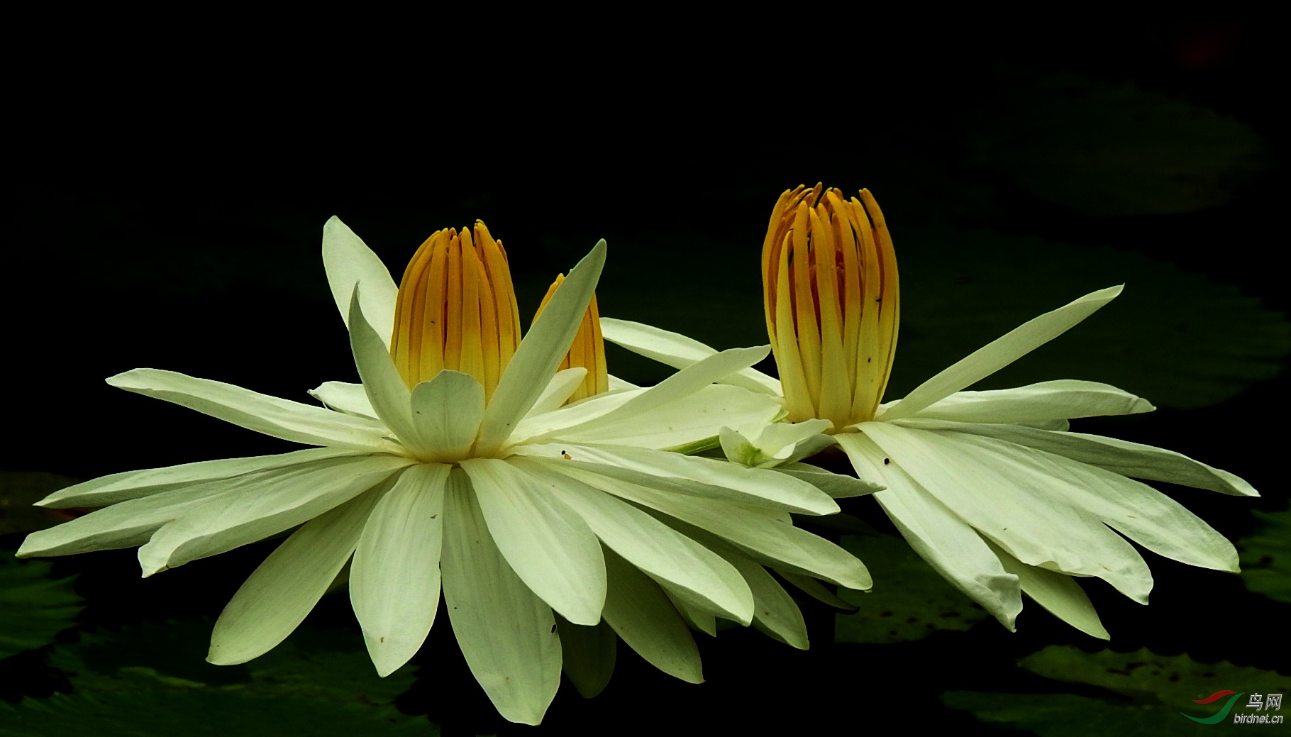 DSCN4712.JPG