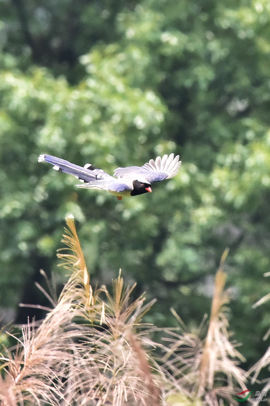 DSC_0296.JPG