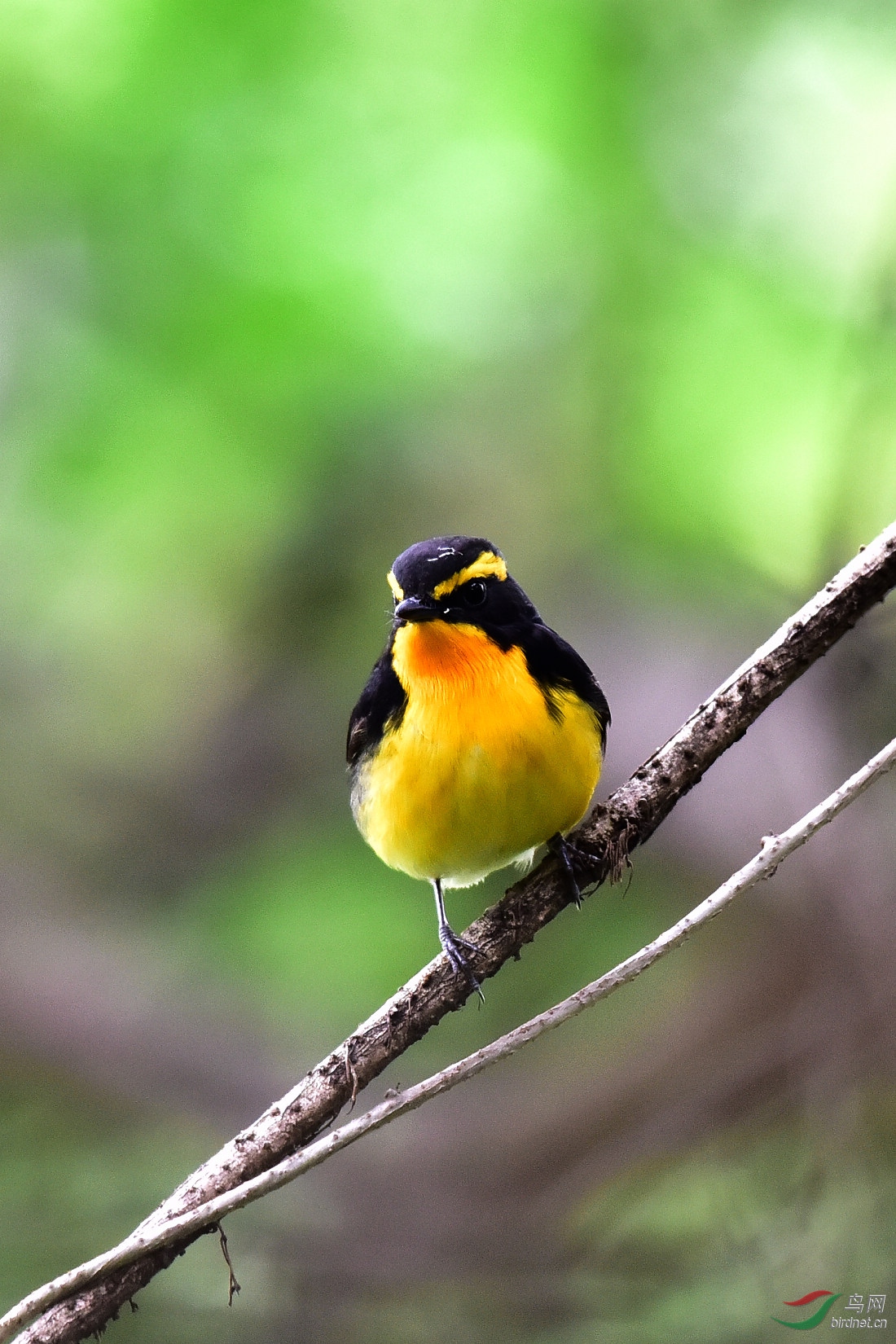 DSC_1068.JPG