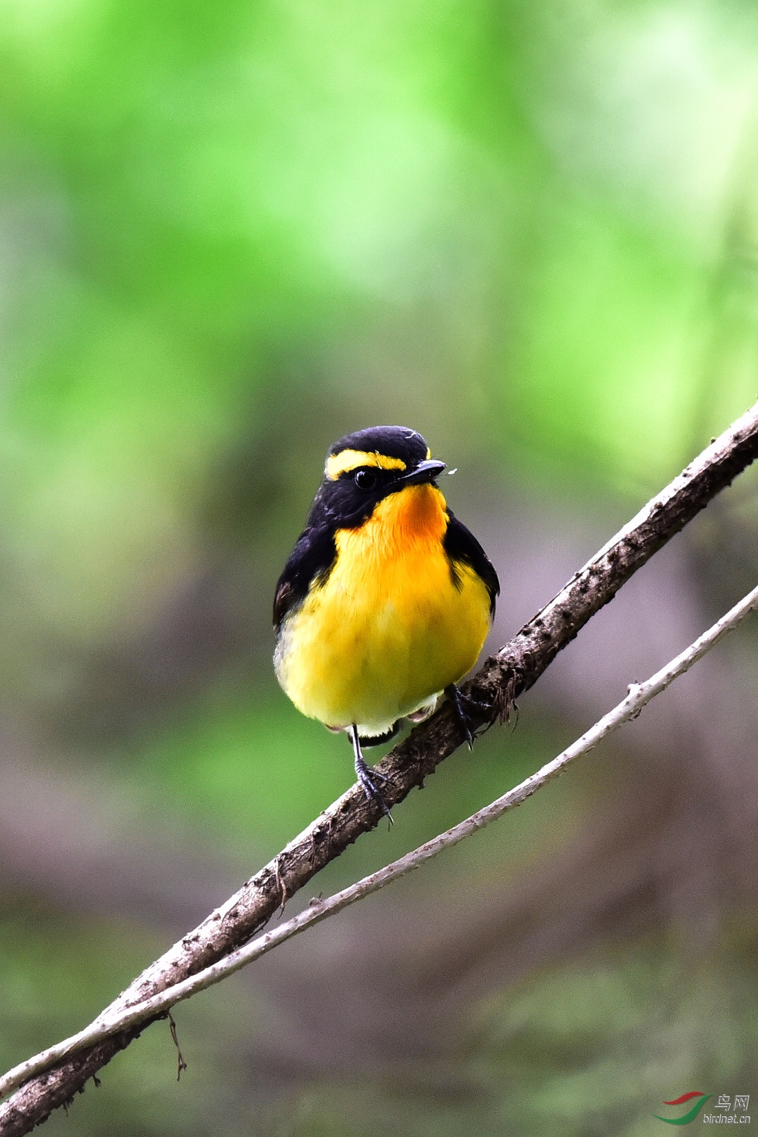 DSC_1069.JPG