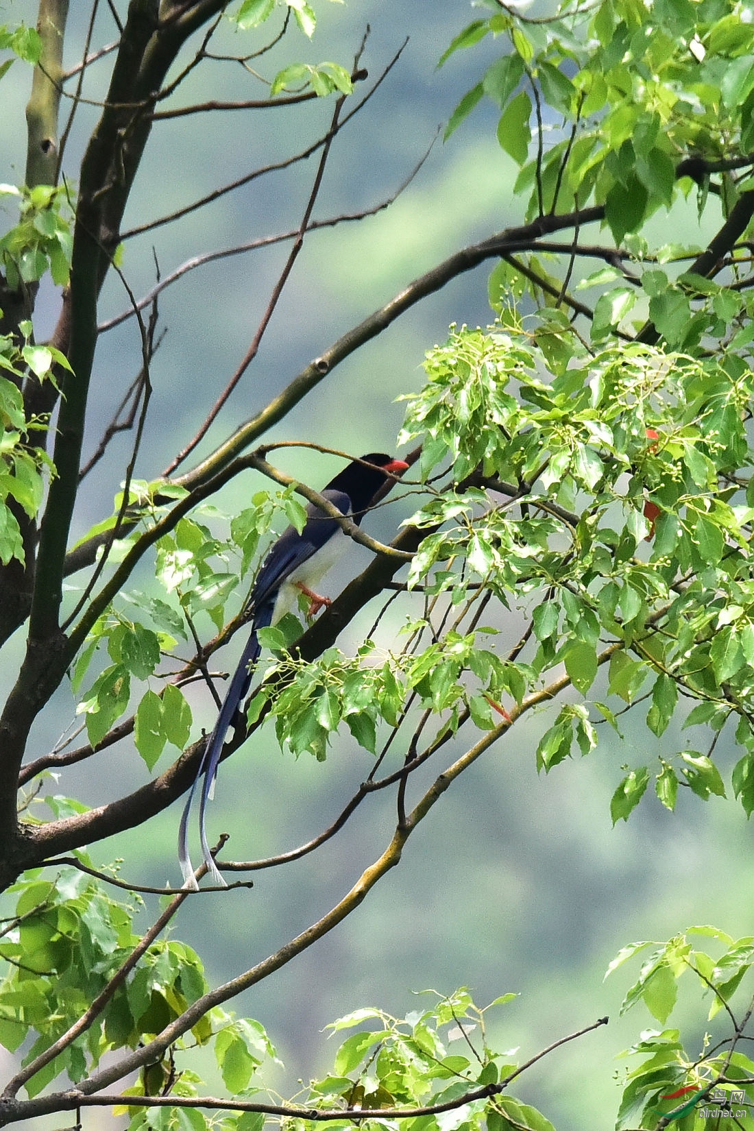 DSC_0299.JPG