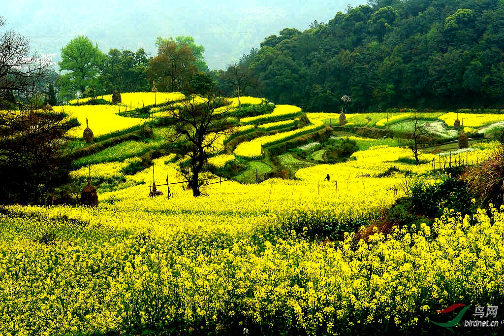 ��Դ��� v  11_����.jpg