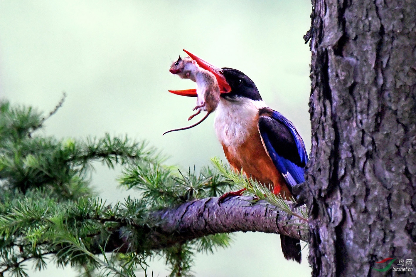 10.�ʻ��ͣ�����䣩8899AM2.jpg