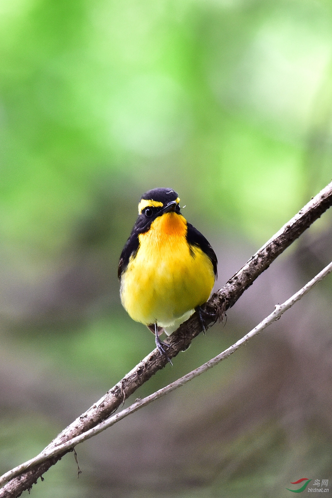 DSC_1072.JPG