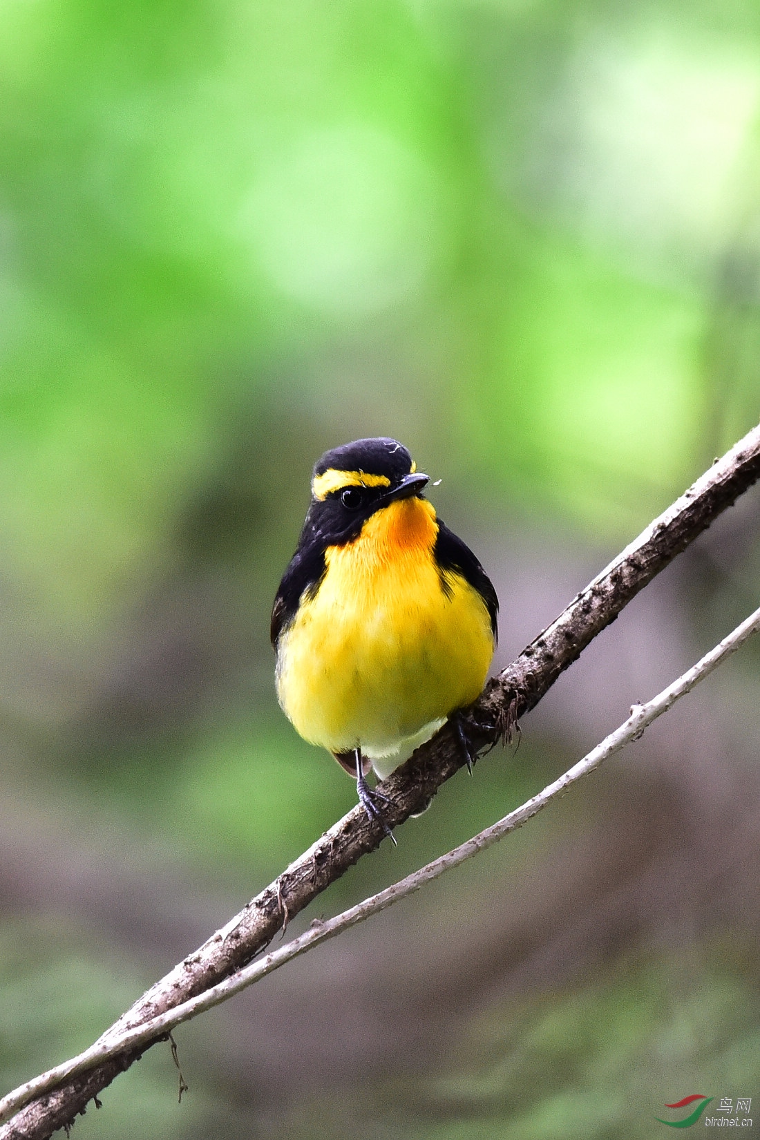 DSC_1073.JPG