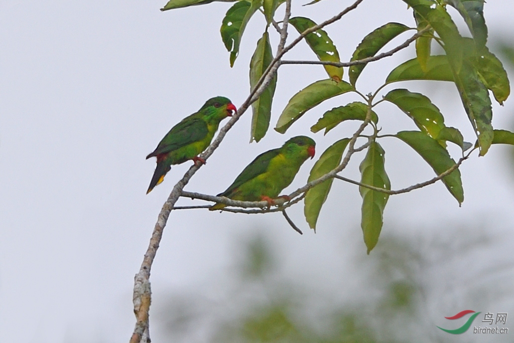 19��8��ӡ�����ͱ��ǿ�002 (685).JPG