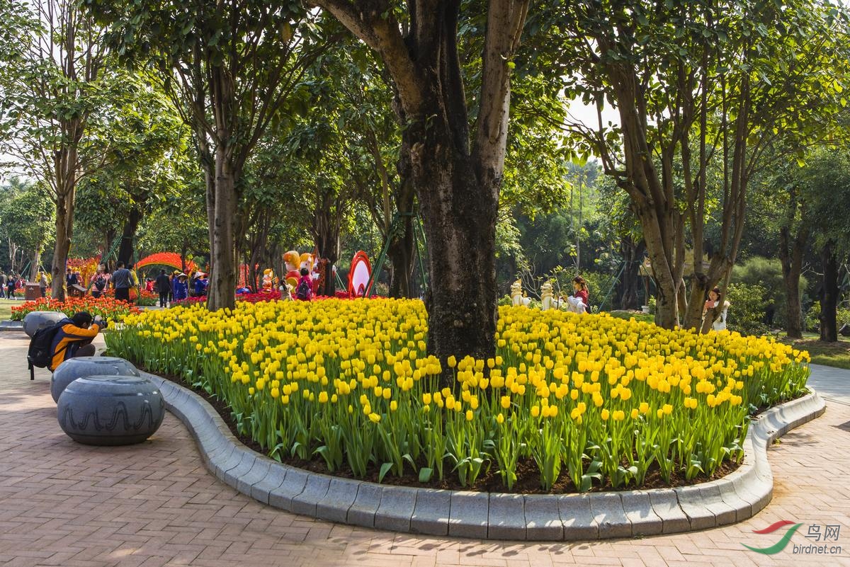 免推免顶免分贴4