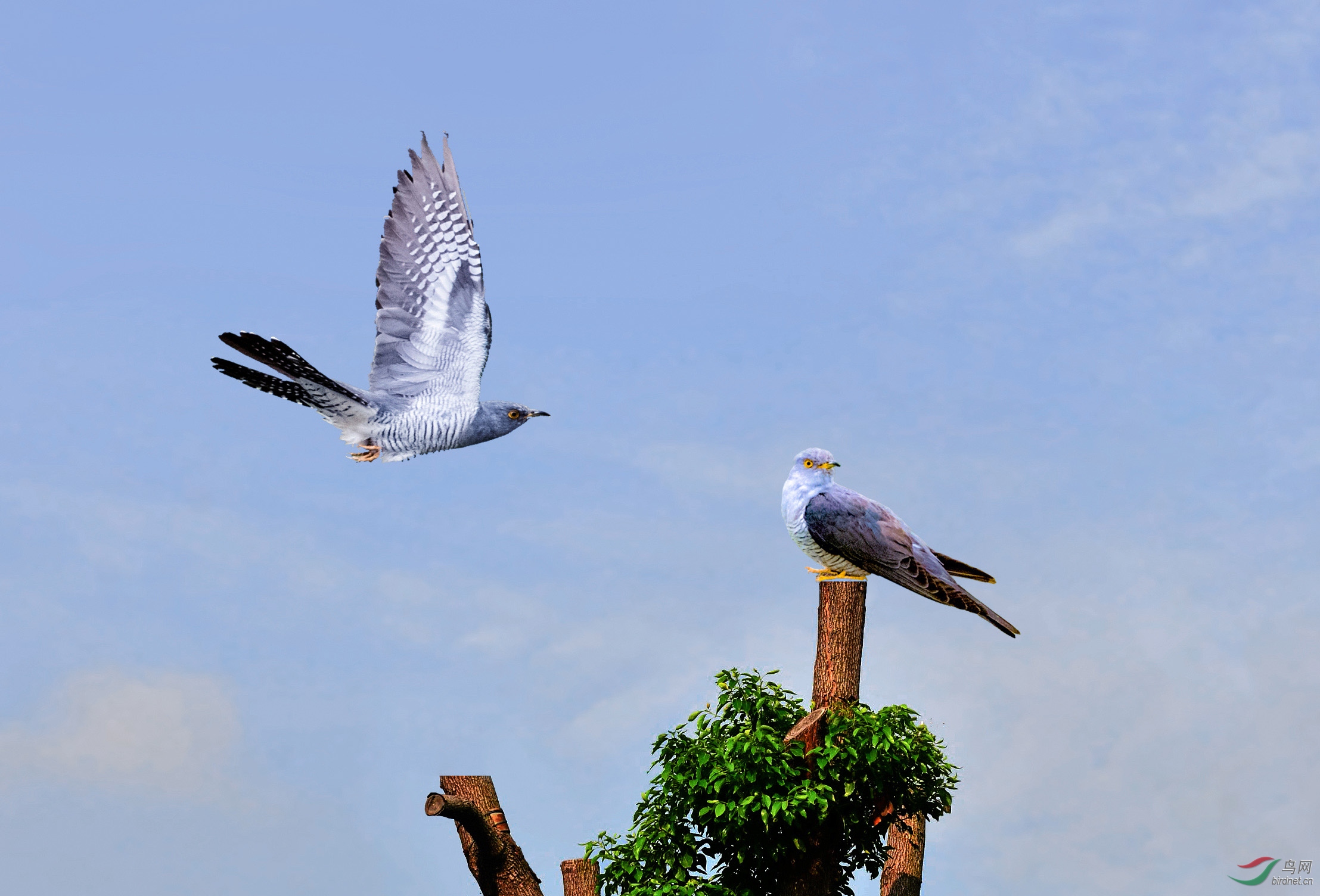 DSC_5679.-1jpg.jpg