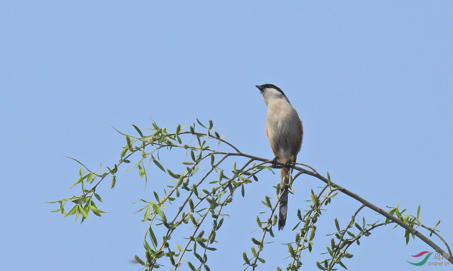 DSCN7020.JPG