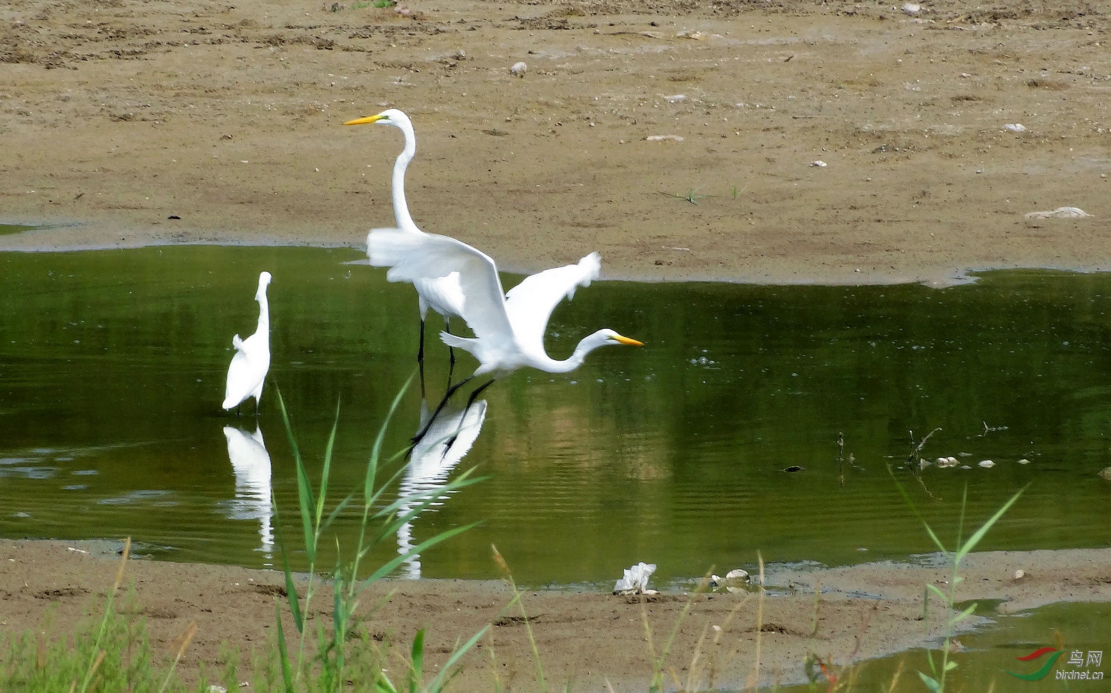 DSC05699.JPG