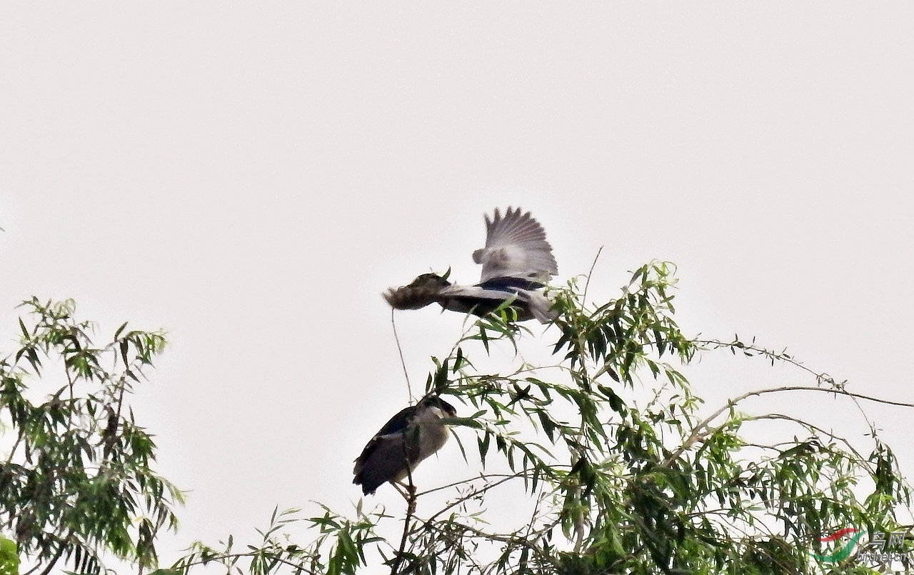 DSCN2141.JPG