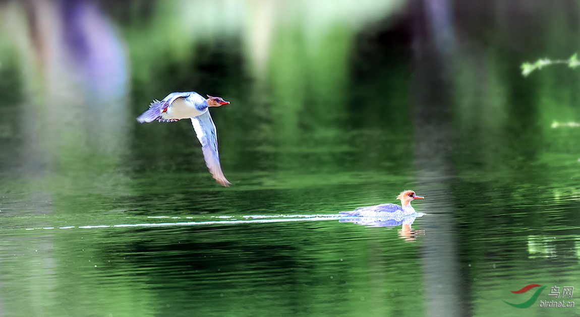 _DSC5261==he1xiao.jpg