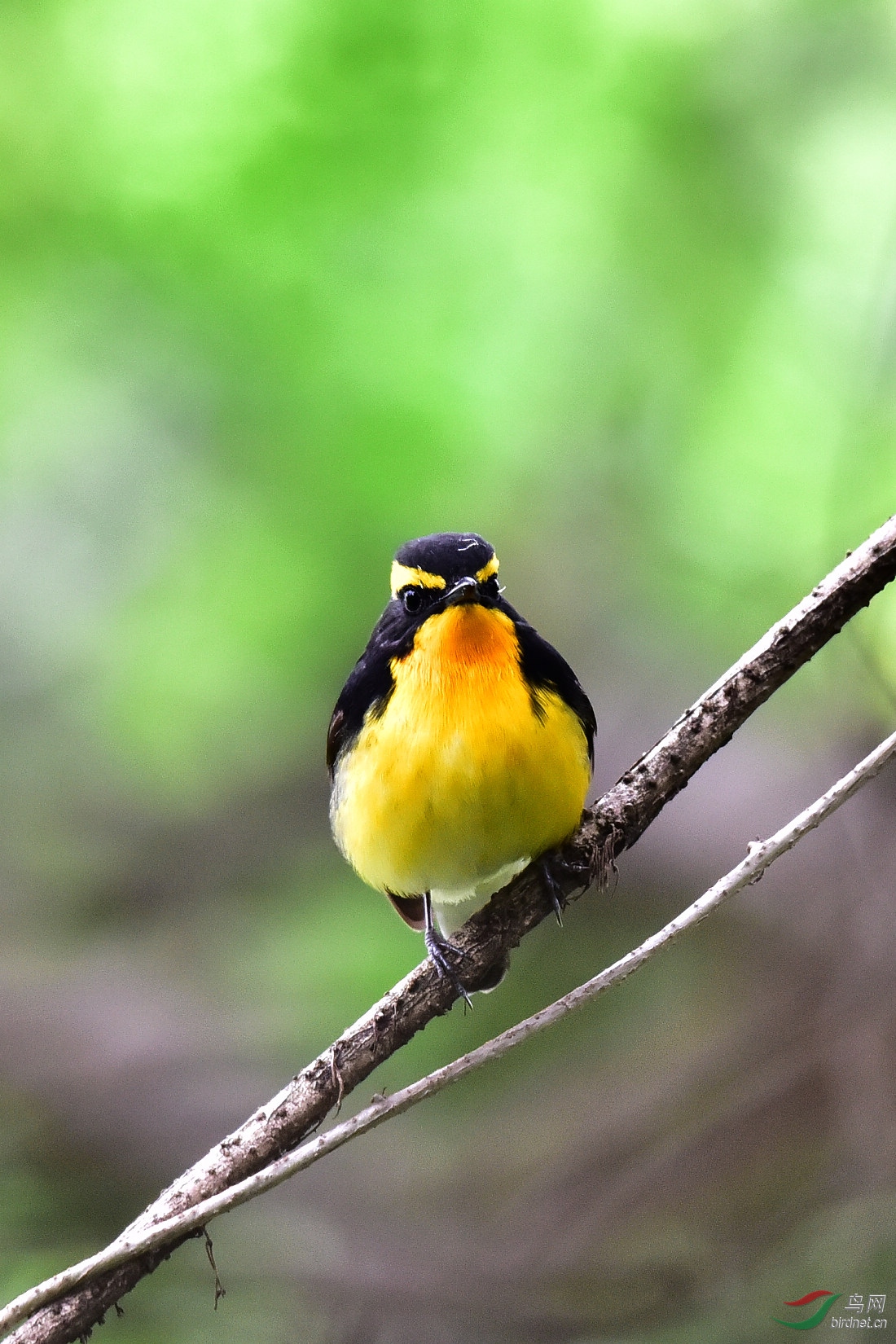 DSC_1075.JPG