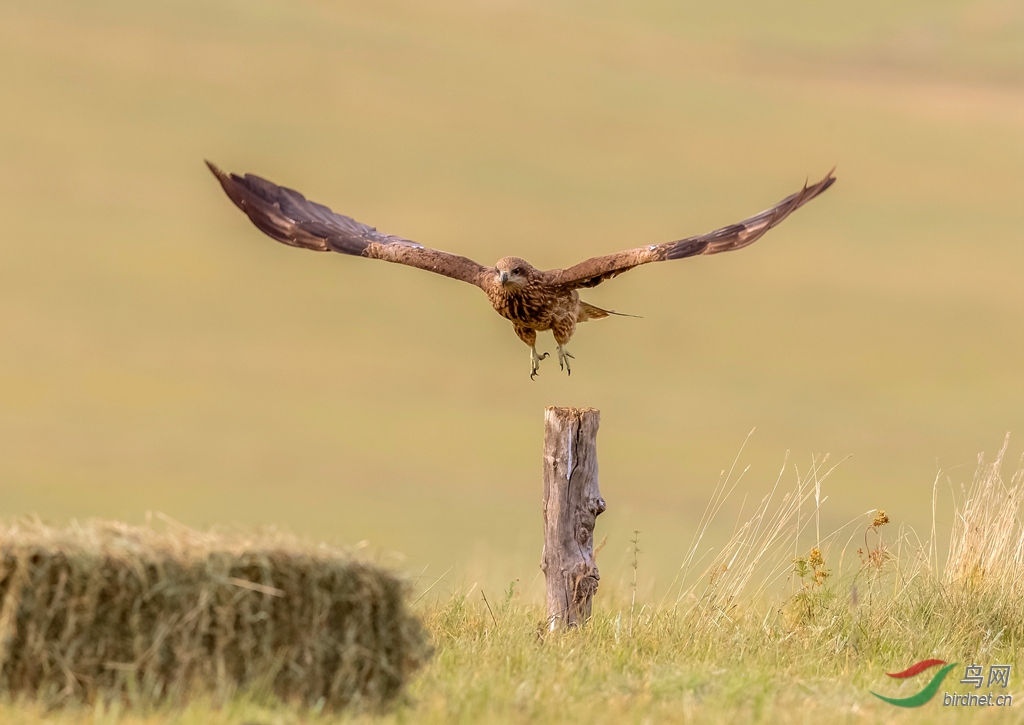 _K8I7206  01_����.jpg